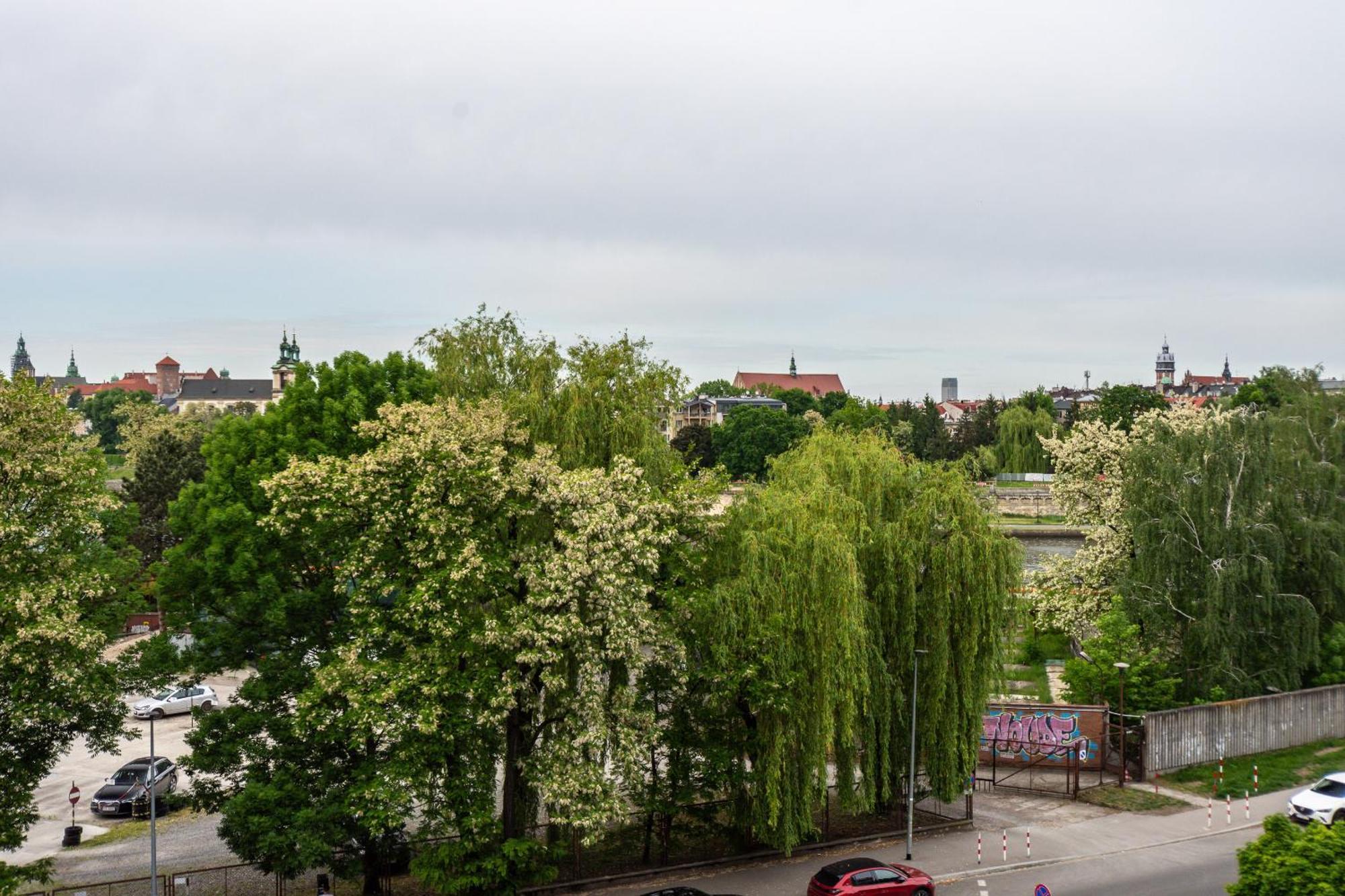 3D Ludwinowska 11 Appartement Krakau Buitenkant foto